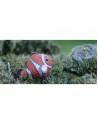 PUZZLE EUGY 3D CLOWNFISH