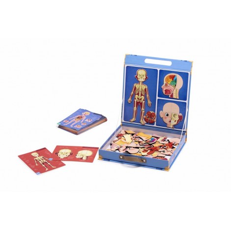 CUERPO HUMANO MAGNETICO MULTI LENGUAJE