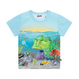 CAMISETA BEBE NIÑO MOLO EASY TROPIC SEA