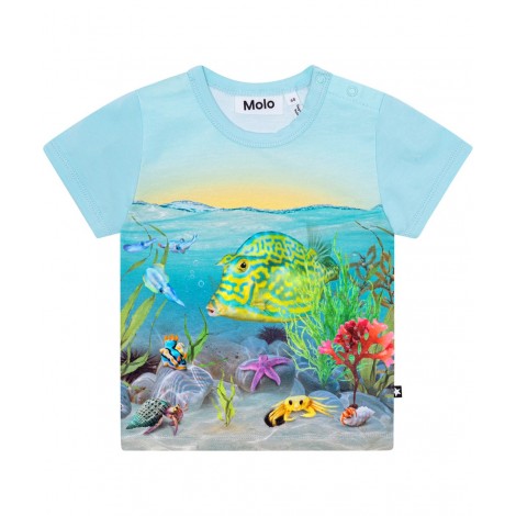 CAMISETA BEBE NIÑO MOLO EASY TROPIC SEA